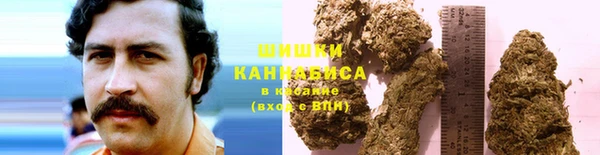 спиды Пестово