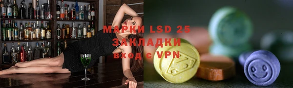 PSILOCYBIN Пересвет