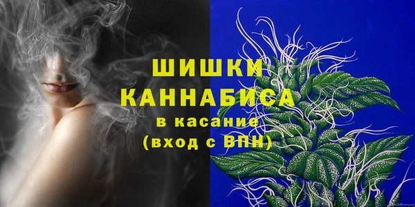 спиды Пестово
