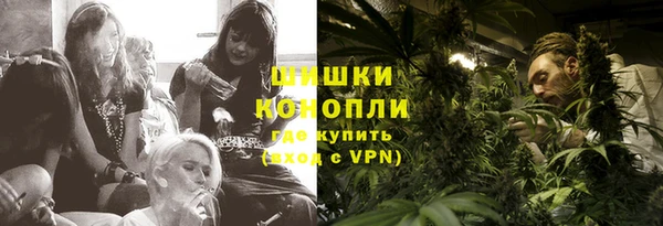 PSILOCYBIN Пересвет