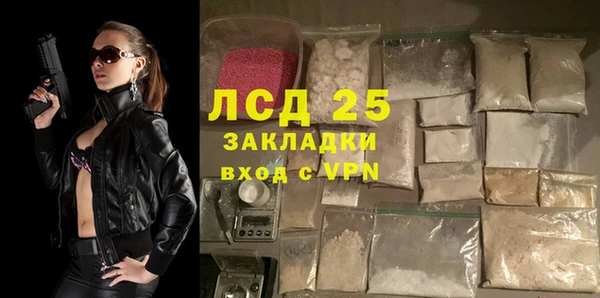 spice Гвардейск