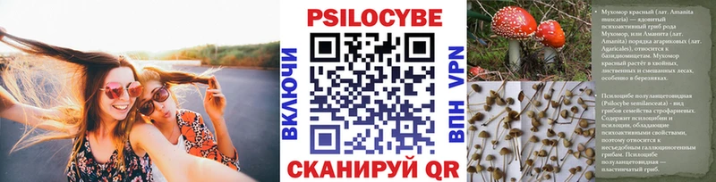 omg сайт  Короча  Псилоцибиновые грибы GOLDEN TEACHER  купить  